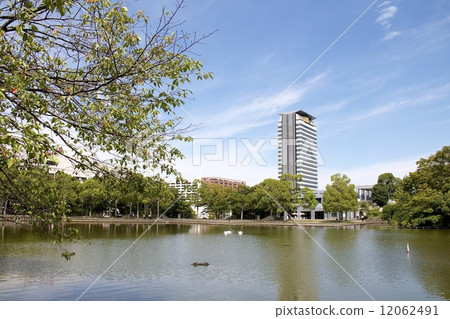 多摩中央公園 12062491