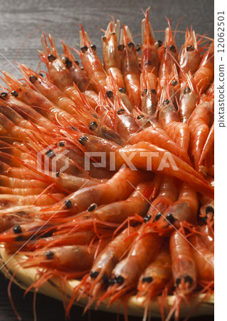 甜蝦 甜蝦 12062501
