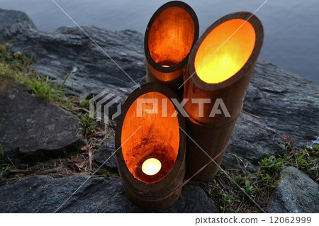 Bamboo night Bamboo night 12062999