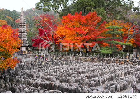 In the late autumn Nanin Buddhist Temple 12063174