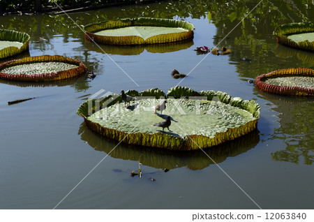 69203 Ohio Bonus 69203 Ohio Bonus 12063840