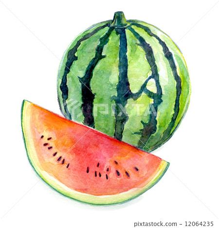A watermelon 12064235