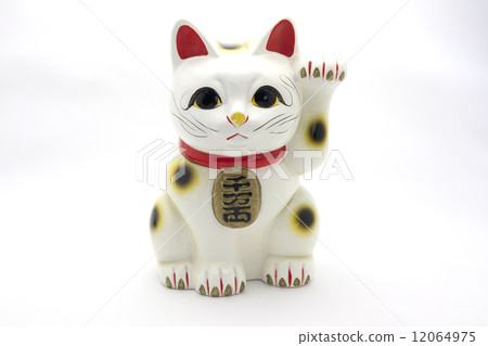 Lucky Cat Lucky Cat 12064975