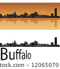 Buffalo skyline 12065070