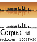 Corpus Christi skyline 12065080