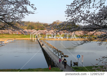 Diving bridge 12065287