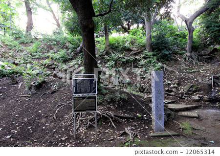 Shiba Maruyama Kofun 12065314