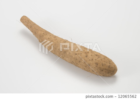 中國山藥 12065562