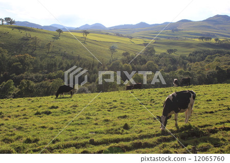 Naitai Plateau Naitai Plateau 12065760