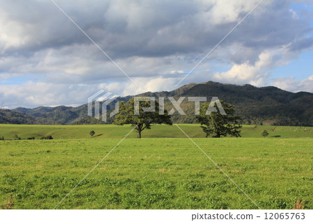 Naitai高原 Naitai高原 12065763