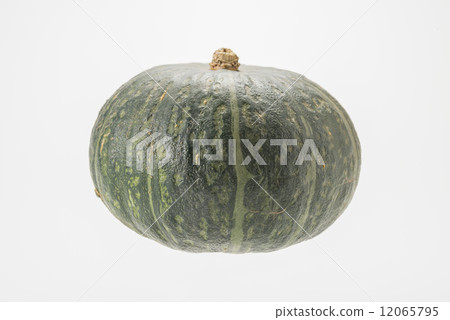 南瓜 12065795