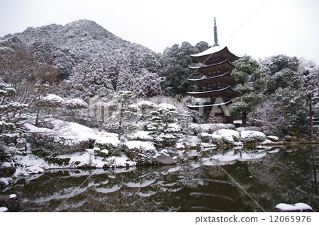 Snow rururikko-ji 5-storied pagoda 12065976