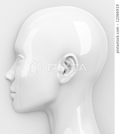 the head 12066919