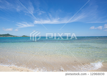 沖繩海·魷魚sankari 沖繩海·魷魚sankari 12068830