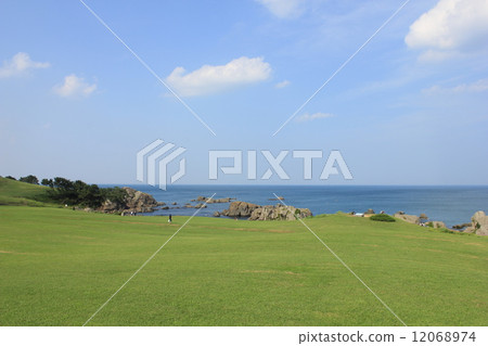 Species coast 12068974