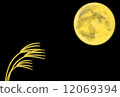Moon-2 12069394