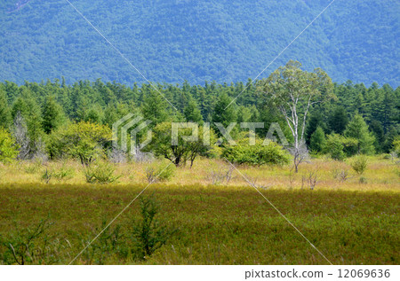 Odashiro at the beginning of autumn 12069636