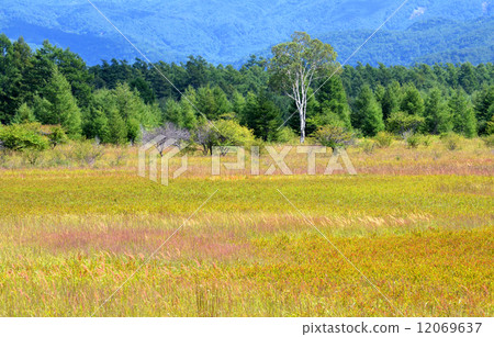 Odashiro在秋天的開始 Odashiro在秋天的開始 12069637