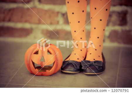 Halloween 12070791