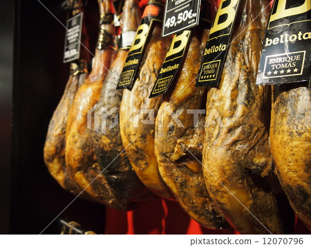 Iberian pig  12070796