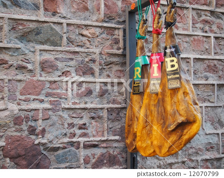 Iberian pig  12070799