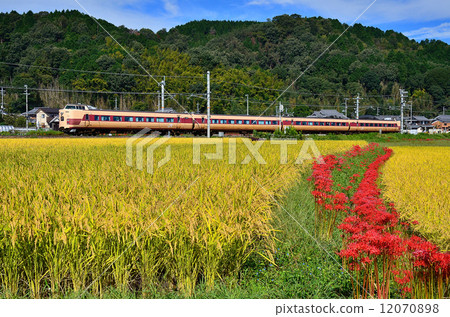 鐵路火車San-in主線京都口381系列Chiyokawa ri~Yagi秋天Higanbana花稻米國家限定快遞Nippon Steel顏色JR西日本Sagano線Kinosaki Hashidate Maizuru 12070898