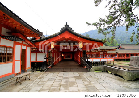 嚴島神社 嚴島神社 12072390