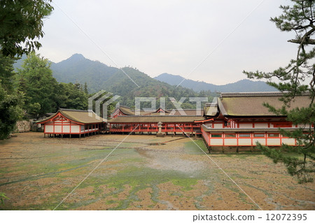 嚴島神社 嚴島神社 12072395