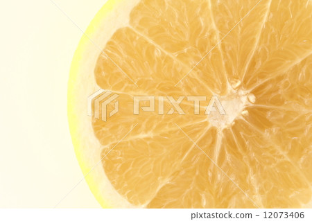 grapefruit  12073406