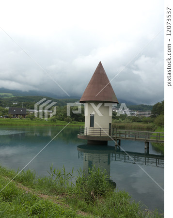 綠色是一個池塘 12073537