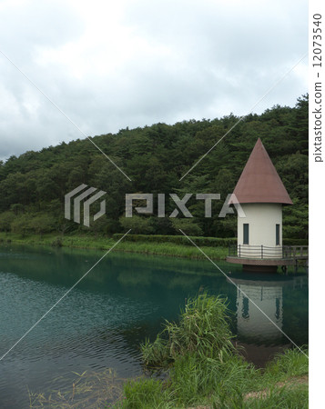 綠色是一個池塘 12073540