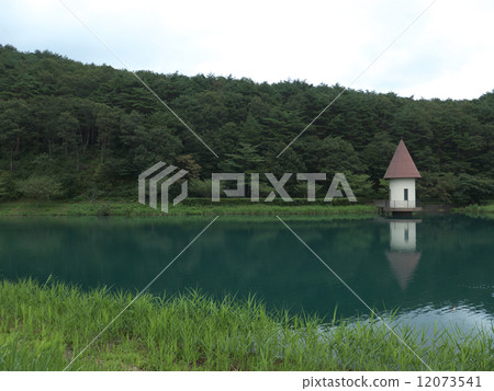 綠色是一個池塘 12073541