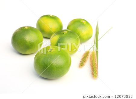 Taste of early autumn 12073853