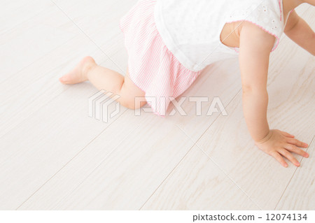 11 months old baby girl 12074134