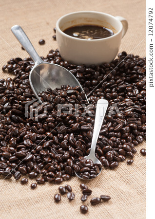 coffee bean 12074792