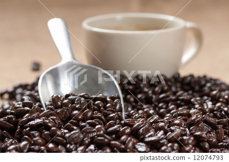 coffee bean coffee bean 12074793