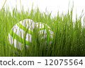easter eggs green 12075564