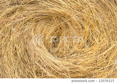 Hay bails on the field 12076325
