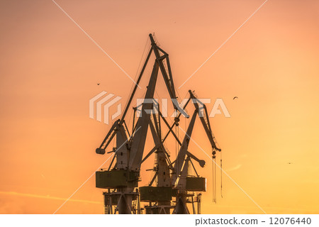 Industrial cargo cranes in the dock Industrial cargo cranes in the dock 12076440