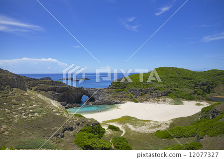 Ogasawara Ogiike on the South Island 12077327