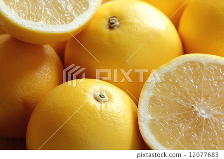 grapefruit  12077683