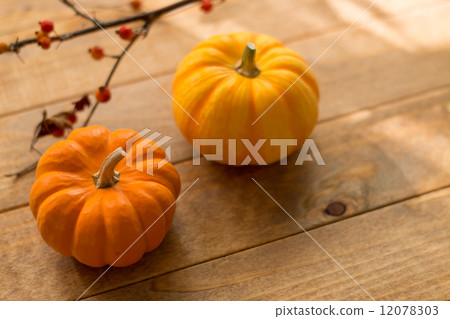Pumpkin Pumpkin 12078303