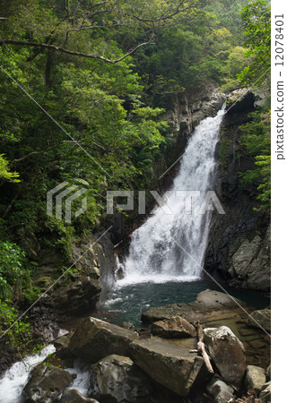 東大田瀑布·沖繩瀑布 12078401