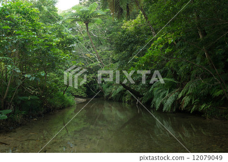 Yanbaru·Higa河清流 12079049