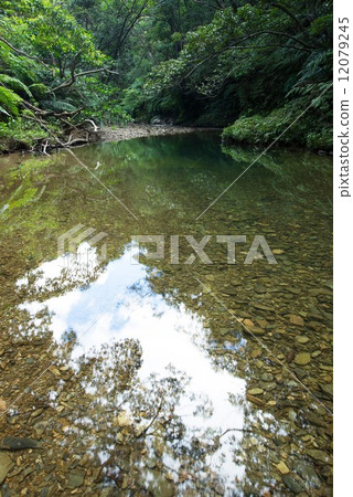 Clear current of Okinawa · Togengawa River 12079245