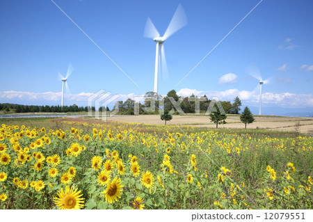 Kowo Plateau 12079551