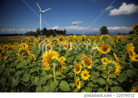 Kowo Plateau 12079552