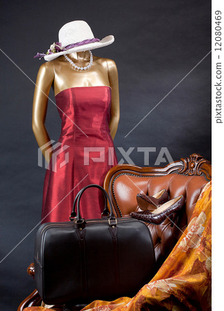 The set of travel accessories 12080469