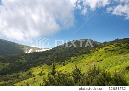 Summer mountain view 12081782