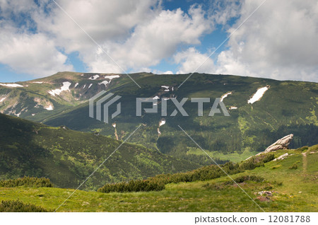 Summer mountain view 12081788